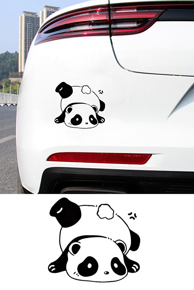 Confused Funny Panda Official Auto Car Glass Sticker Decal for Computers,Trucks, Motorcycles