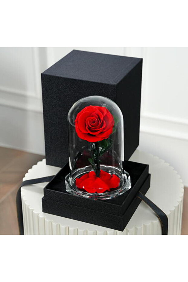 Romantic Red Infinity Rose Small