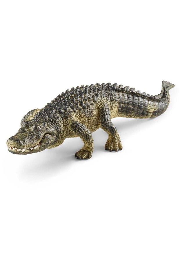 Aligator - 14727