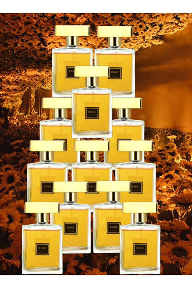 12 قطعة عطر أنيق للنساء 100 مل