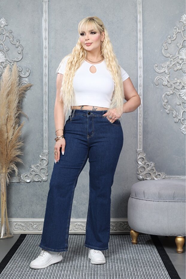 Regular Fit Straight-Leg High-Waist Plus Size Women's Jeans