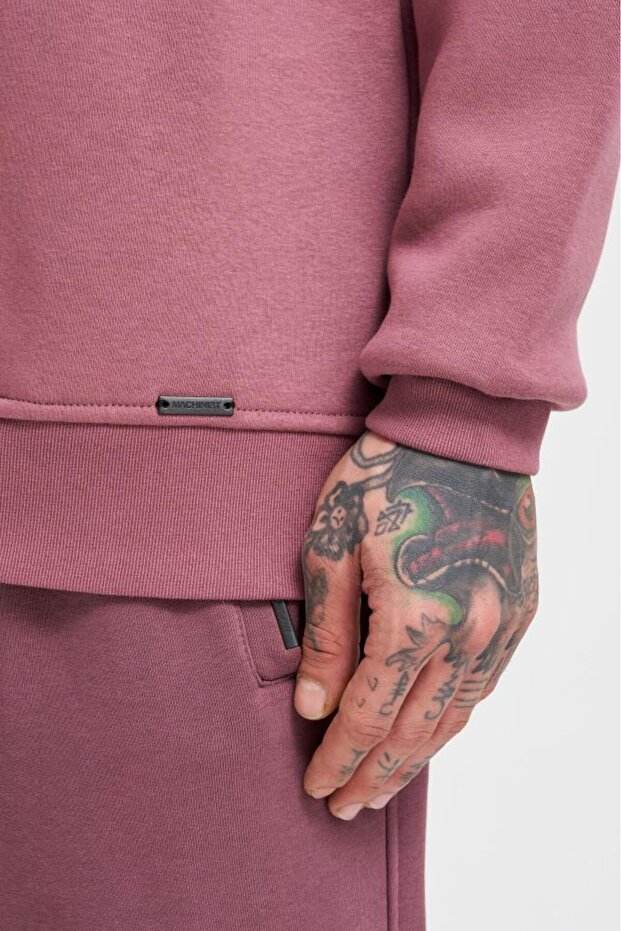 Men's Regular Crew Neck Basic Sweatshirt Plum - 3