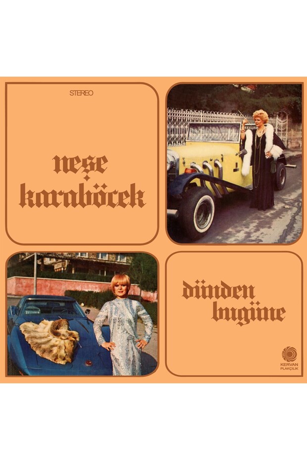 Neşe Karaböcek - Dünden Bugüne (Plak) - 3