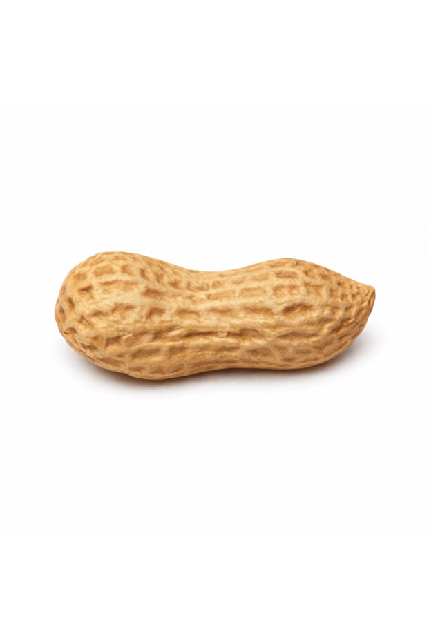 Mini Peanut Silicone Mold - 2