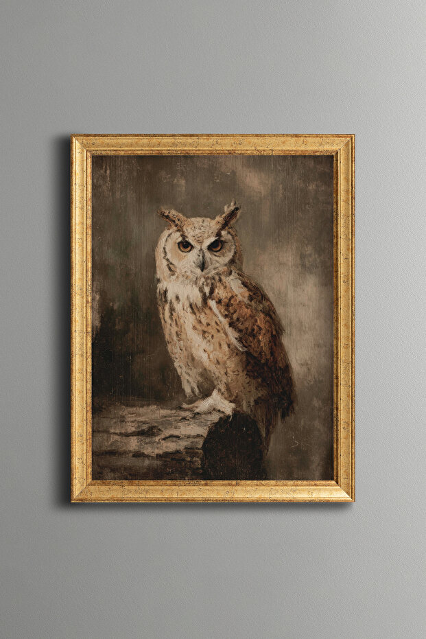 Owl - Vintage Patterned Frame - Slim Model