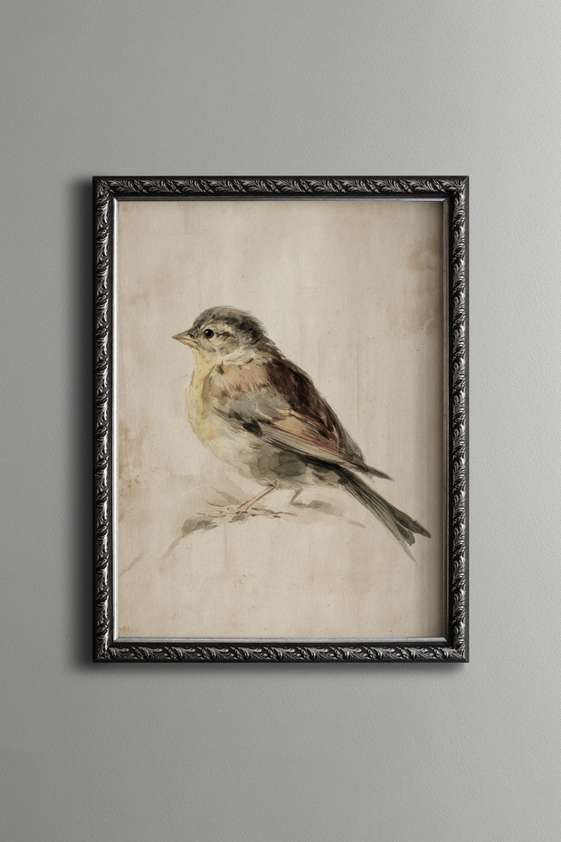 رسم طائر - إطار بنمط عتيق - موديل نحيف