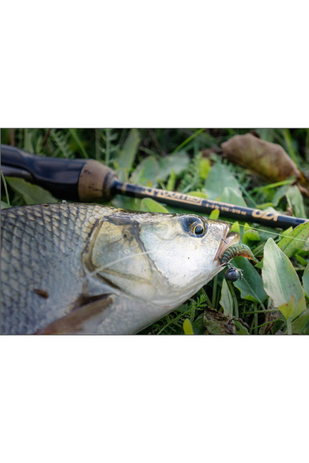 Tanta Crawfish 5cm #243 5cm #243 - 4