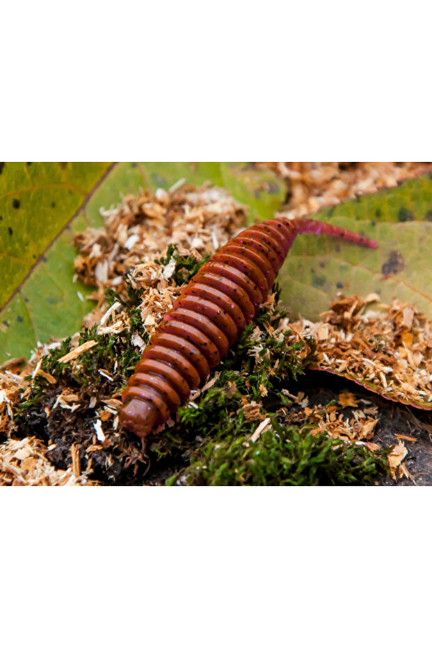Tanta Crawfish 5cm #243 5cm #243 - 2