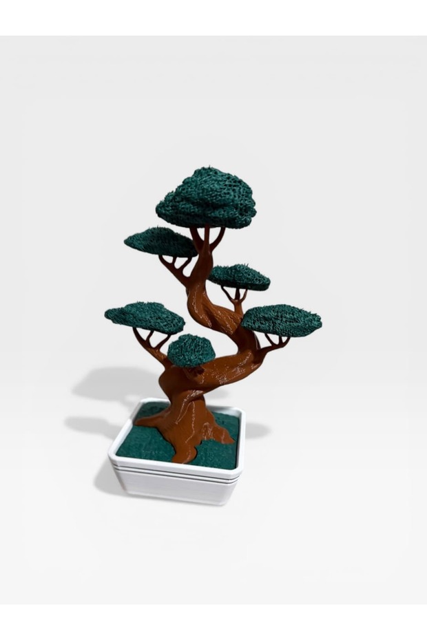 Modern Bonsai Mini Tree - 2