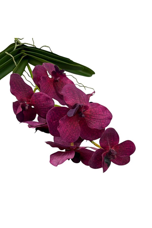 Orhidee artificiala Vanda Violet 60 cm - 2