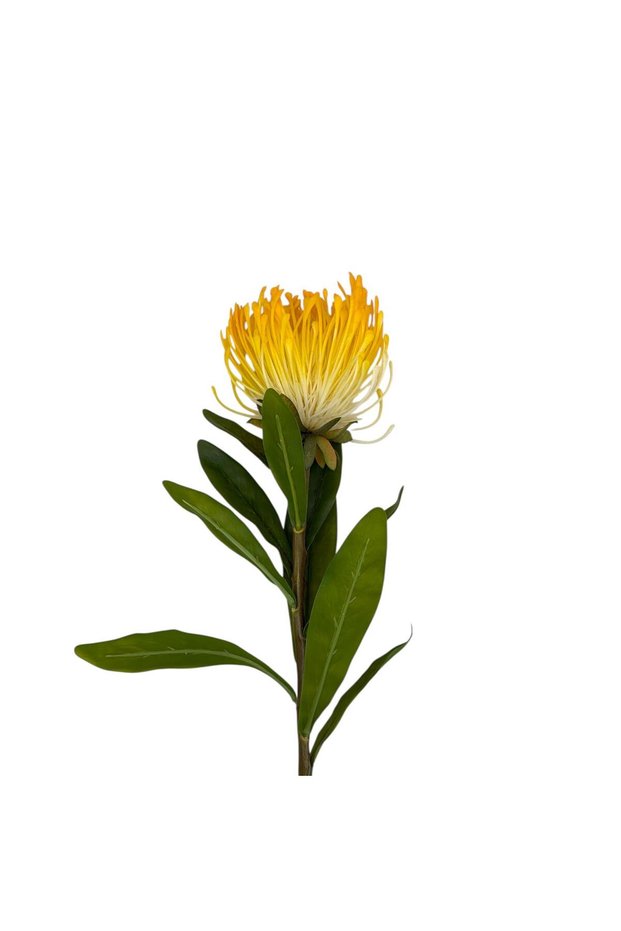 Floare artificiala Protea 80 cm