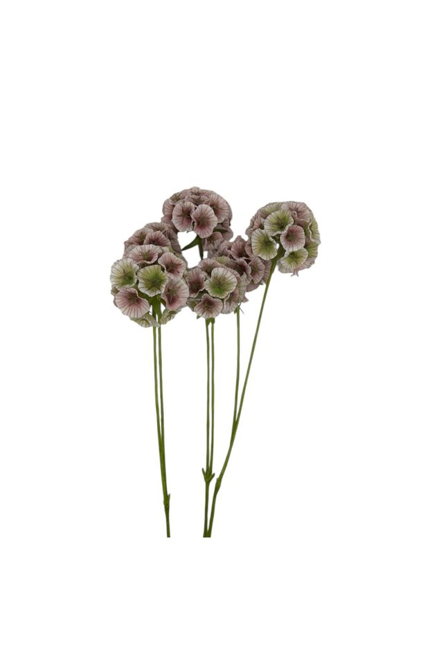 Floare artificiala Scabiosa 65 cm
