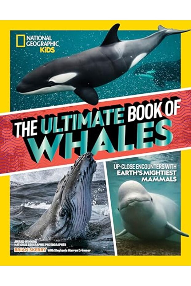 Ultimate Book of Whales