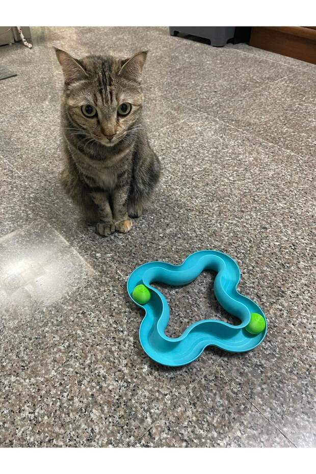 Round Ball Cat Toy Cat Entertainment