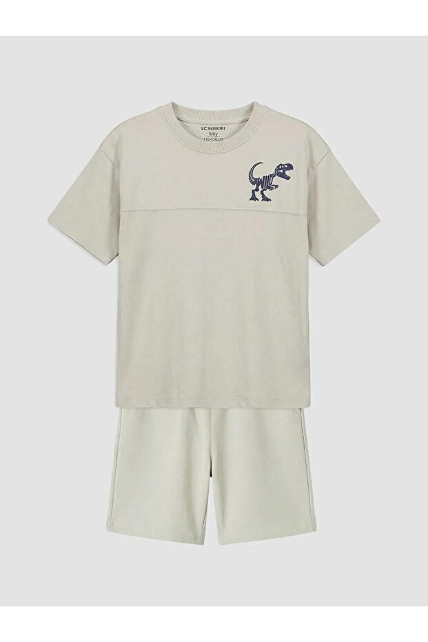 Dinosaur Printed Boys' T-Shirt and Shorts Set (S6)