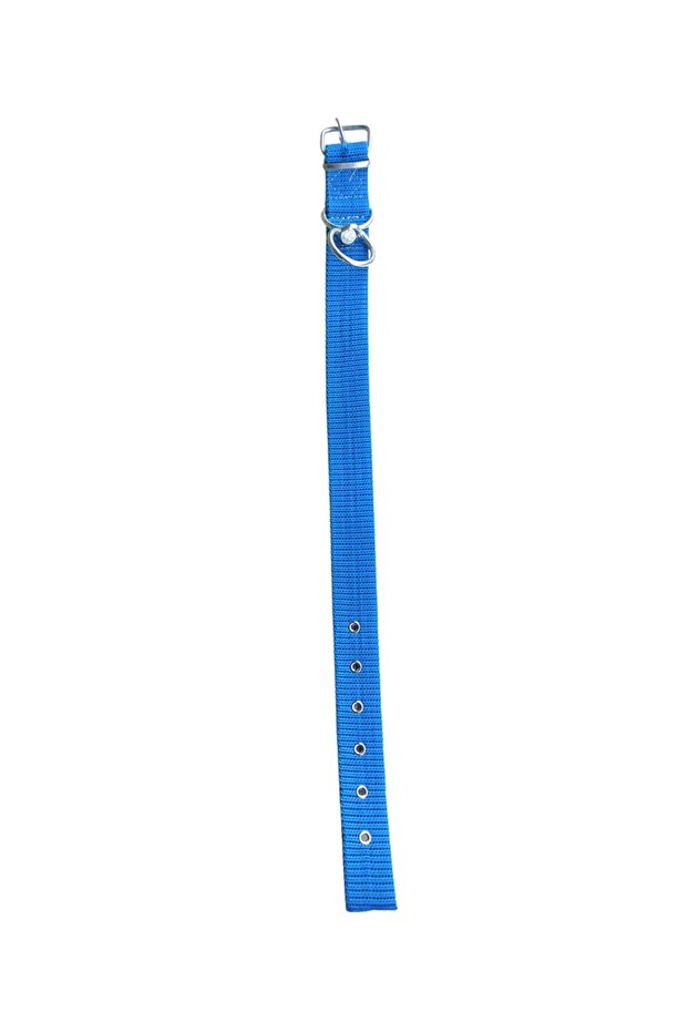 Durable Woven Cat and Dog Collar Blue