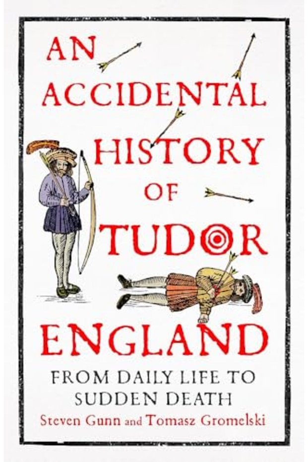 An Accidental History of Tudor England: From Daily Life to Sudden Death