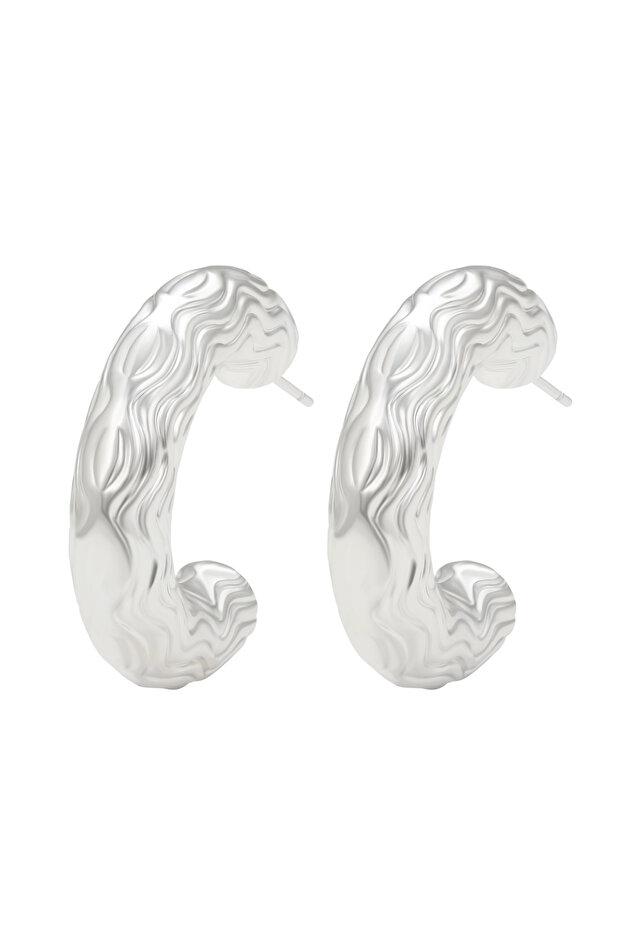 Earrings - 1