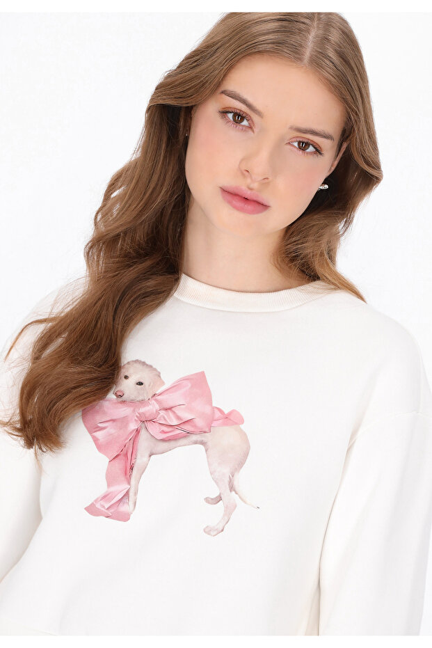 Sweatshirt - 5