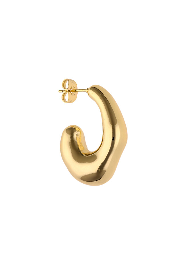 Earrings - 2