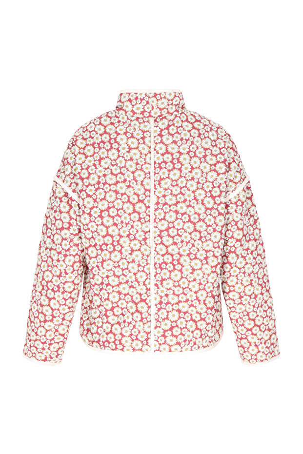 Jacket - 2