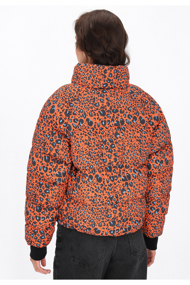 jacket - 4