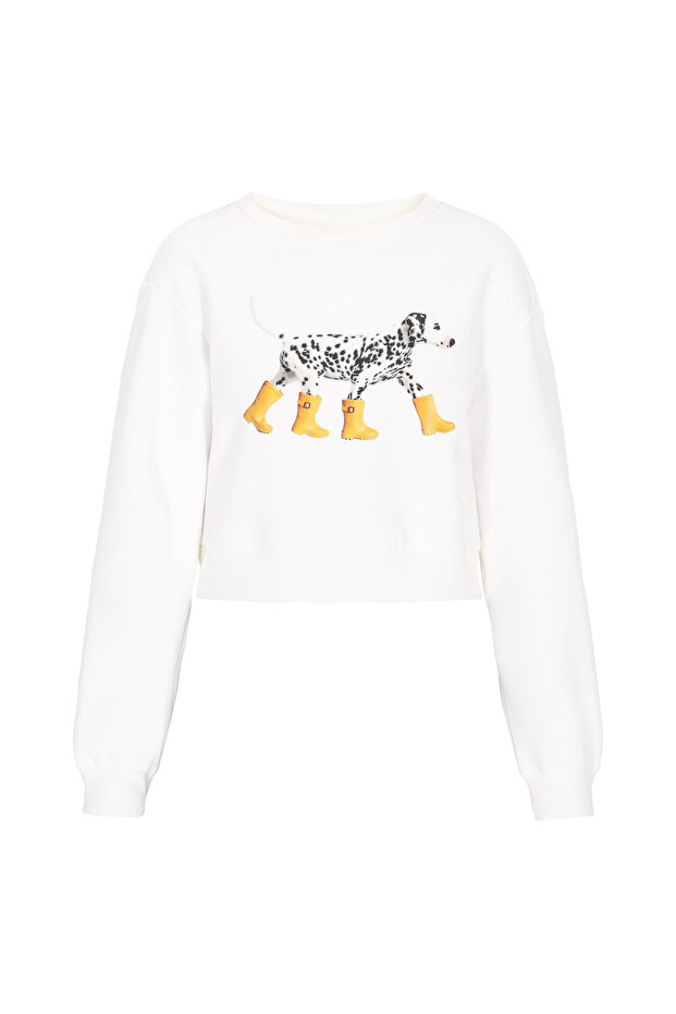 Sweatshirt - 2