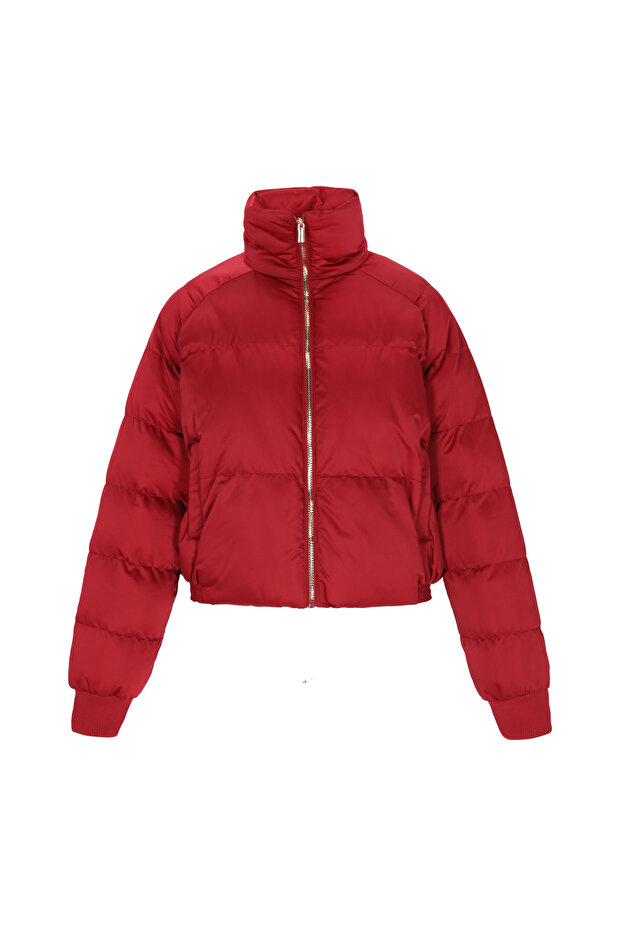 Jacket - 2