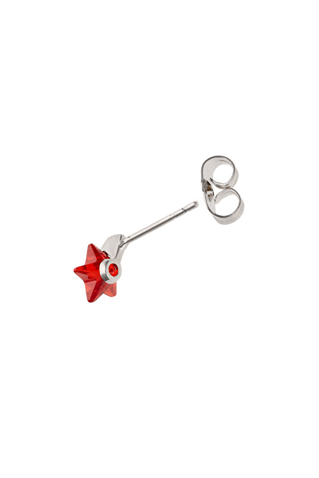 Earrings - 3