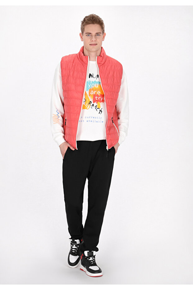 sacou - 1