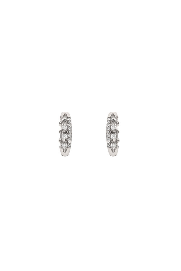 Earrings - 1