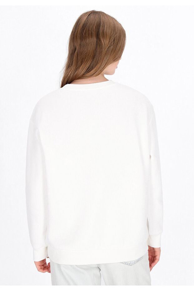 sweatshirt - 4