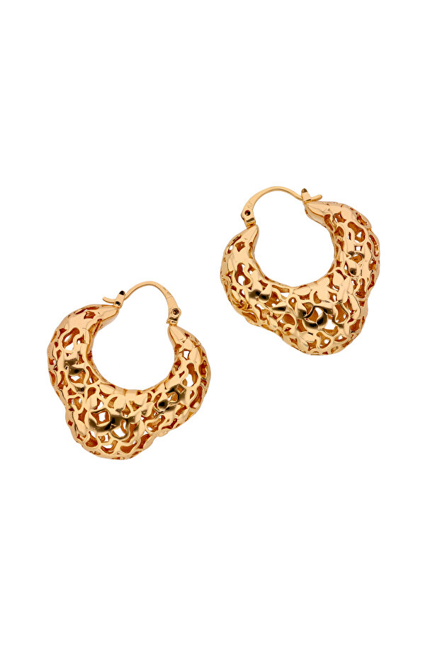 Earrings - 1