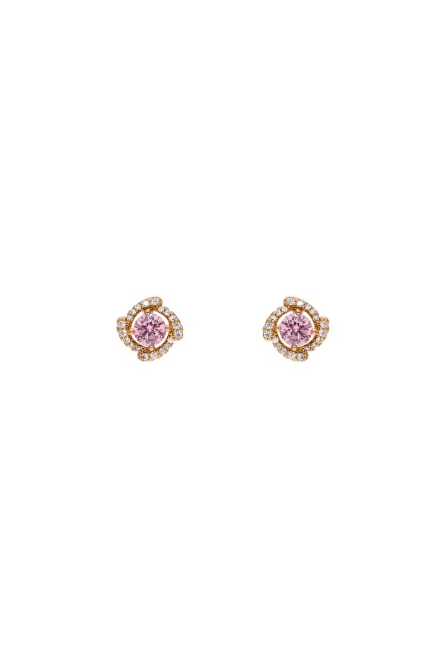 Earrings - 1