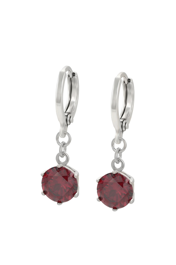 Earrings - 1