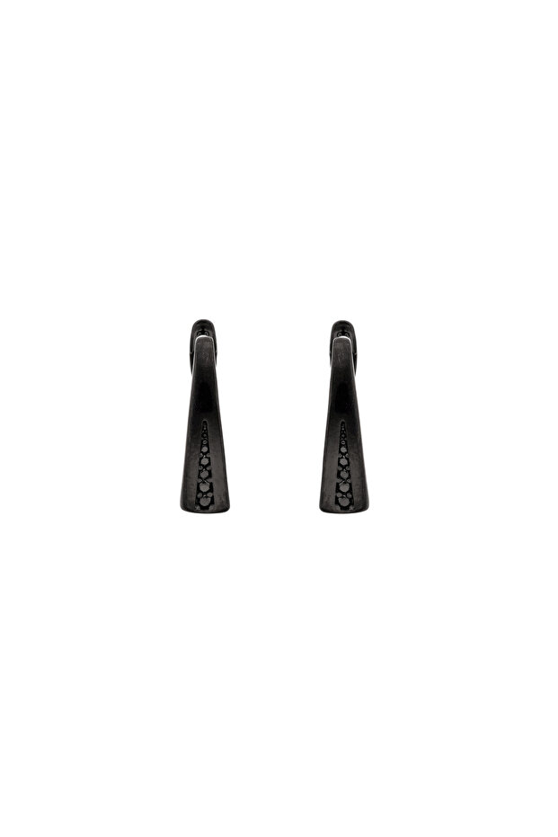 Earrings - 1
