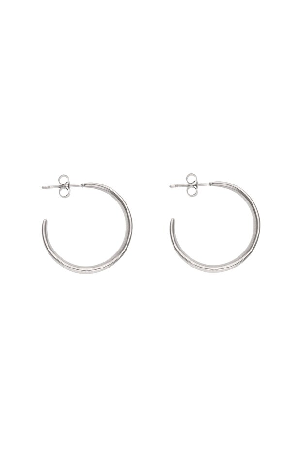 Earrings - 1