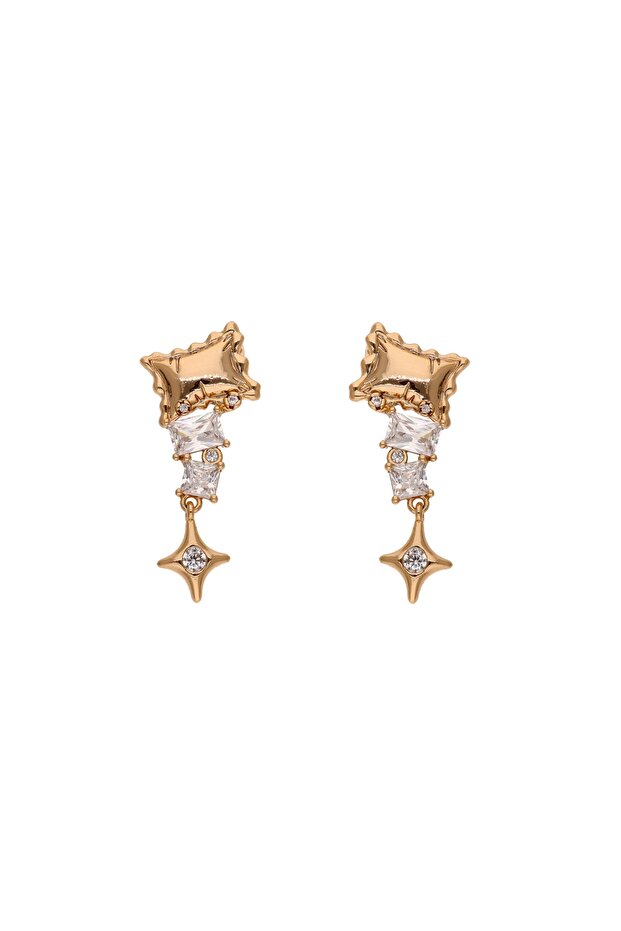 Earrings - 1