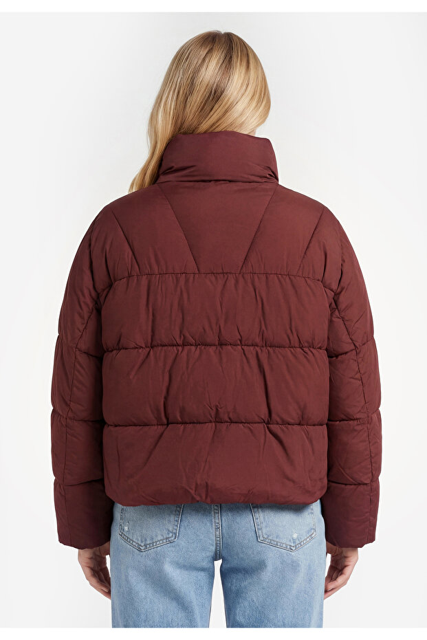 Jacket - 3