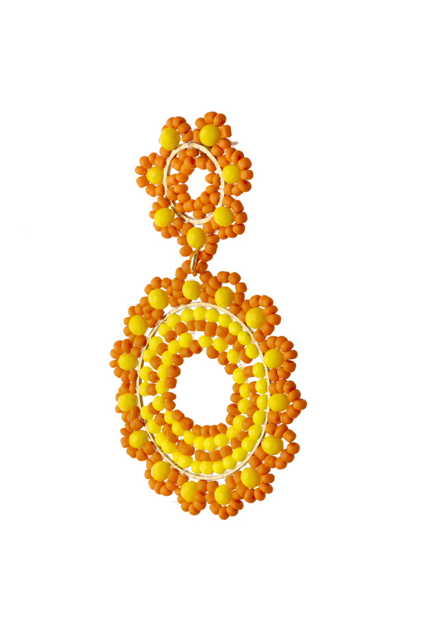 Earrings - 3