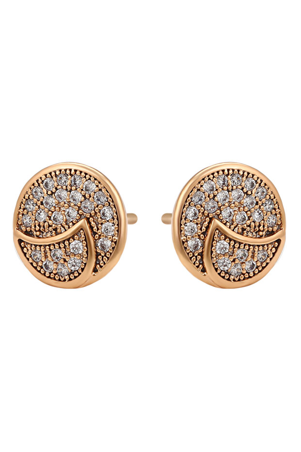 Earrings - 1