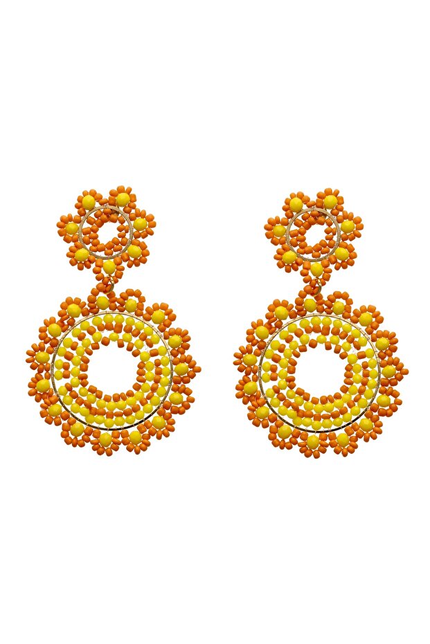 Earrings - 2