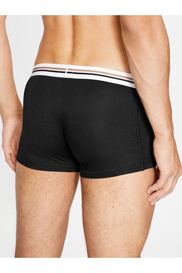 Boxer - 4
