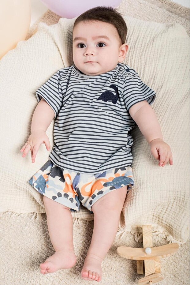 Dinosaur Embroidered Striped T-Shirt Shorts 2-Piece Set