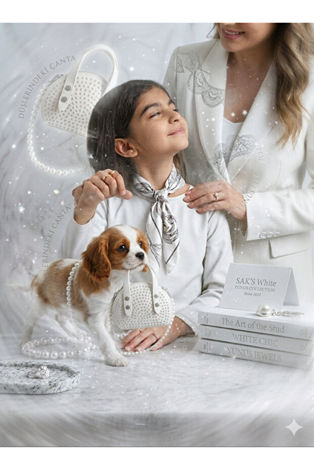 Mini tasli canta - 3