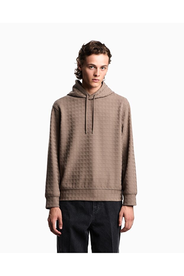 Men's Regular Fit Eagle Logo Textured Hooded Brown Sweatshirt