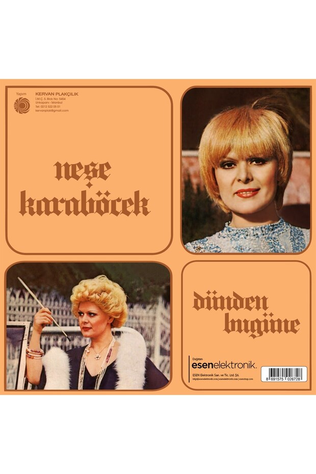 Neşe Karaböcek - Dünden Bugüne (Plak) - 4