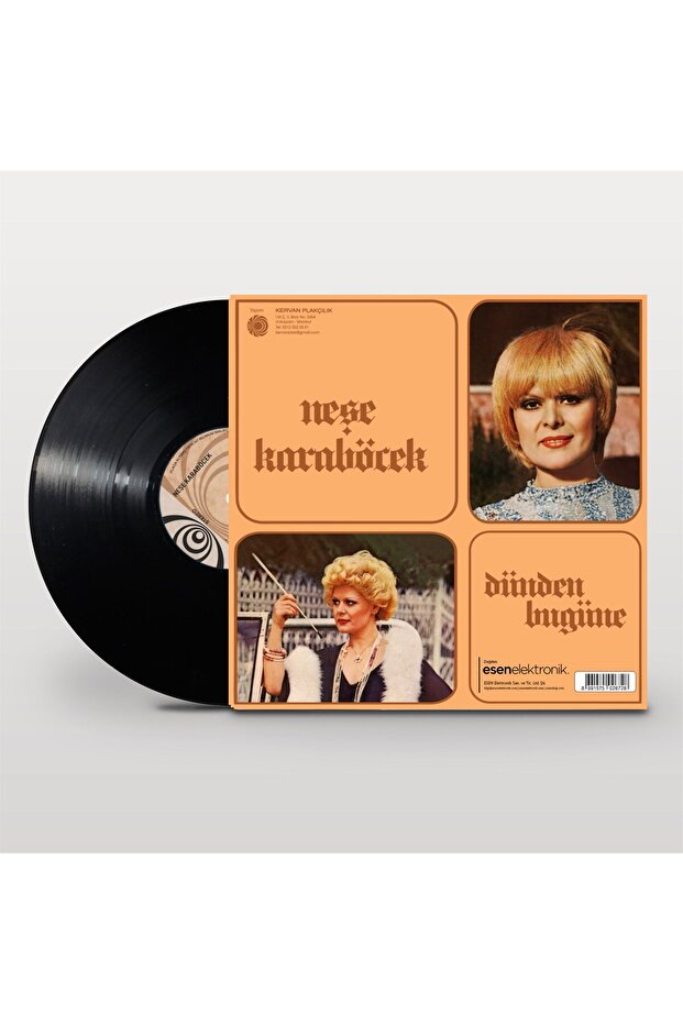 Neşe Karaböcek - Dünden Bugüne (Plak) - 2