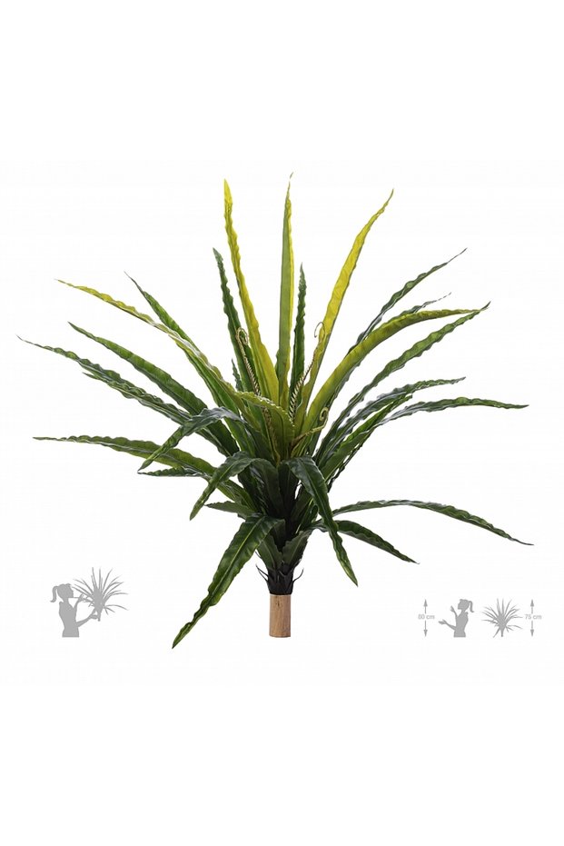 Feriga artificiala Asplenium osaka L verde