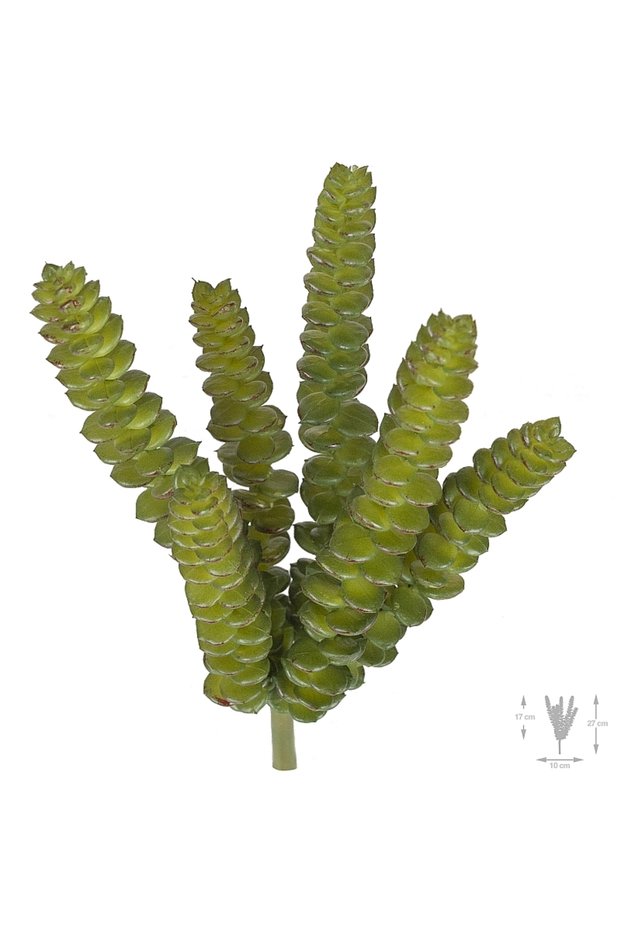 Planta artificiala crassula